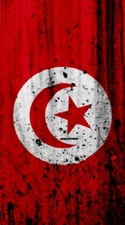 cover Tunisia Fans
