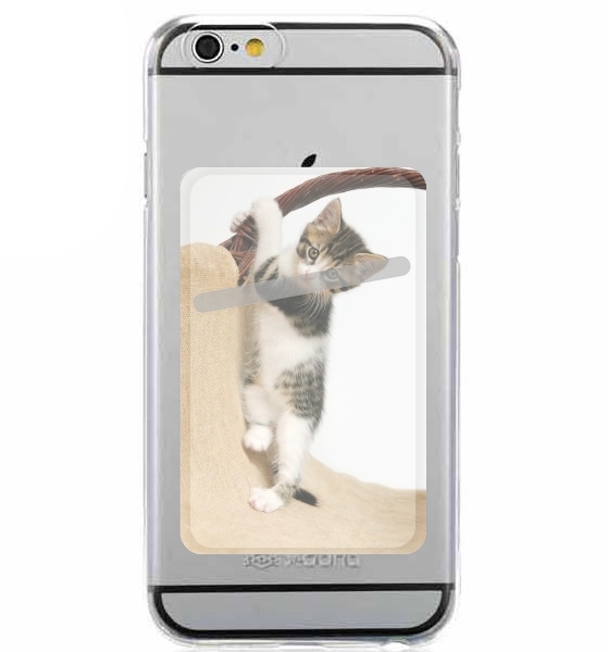  Baby cat, cute kitten climbing for Adhesive Slot Card