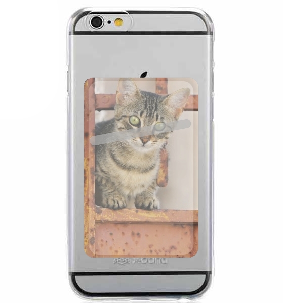  Cute kitten on a rusty iron door  for Adhesive Slot Card