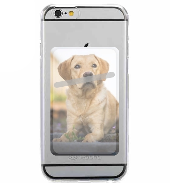  Labrador Dog for Adhesive Slot Card