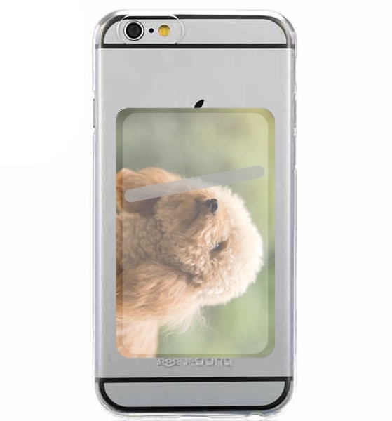  poodle on grassy field for Adhesive Slot Card