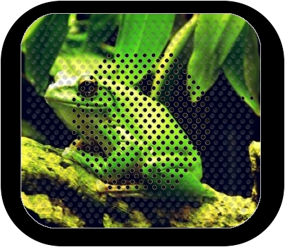  Green Frog for Bluetooth speaker
