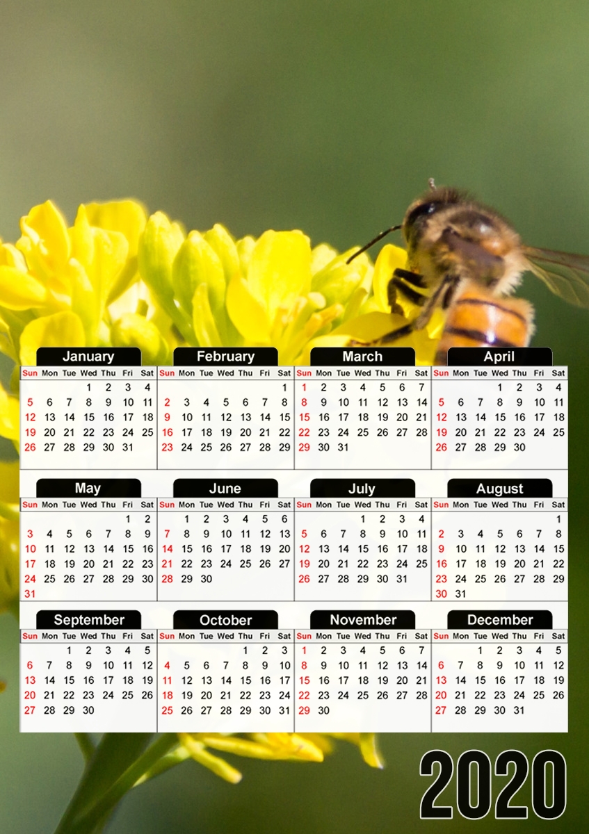  A bee in the yellow mustard flowers for A3 Photo Calendar 30x43cm