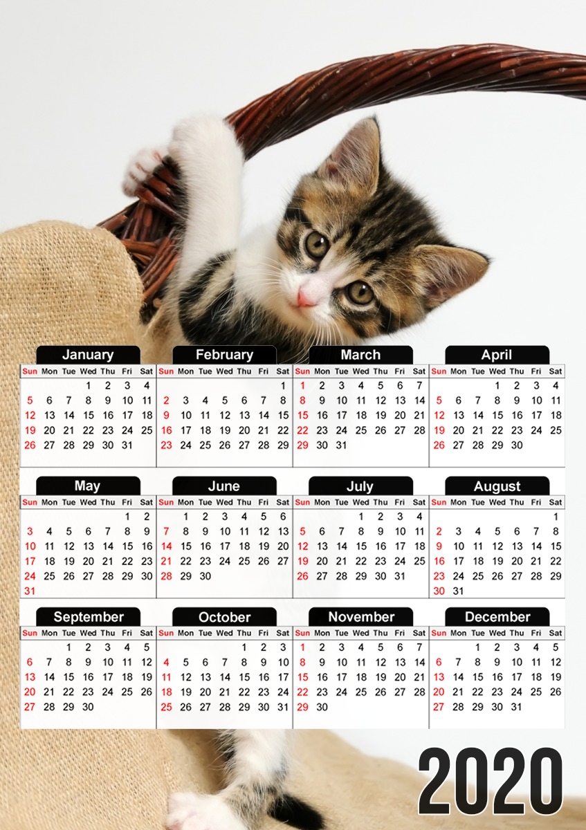  Baby cat, cute kitten climbing for A3 Photo Calendar 30x43cm