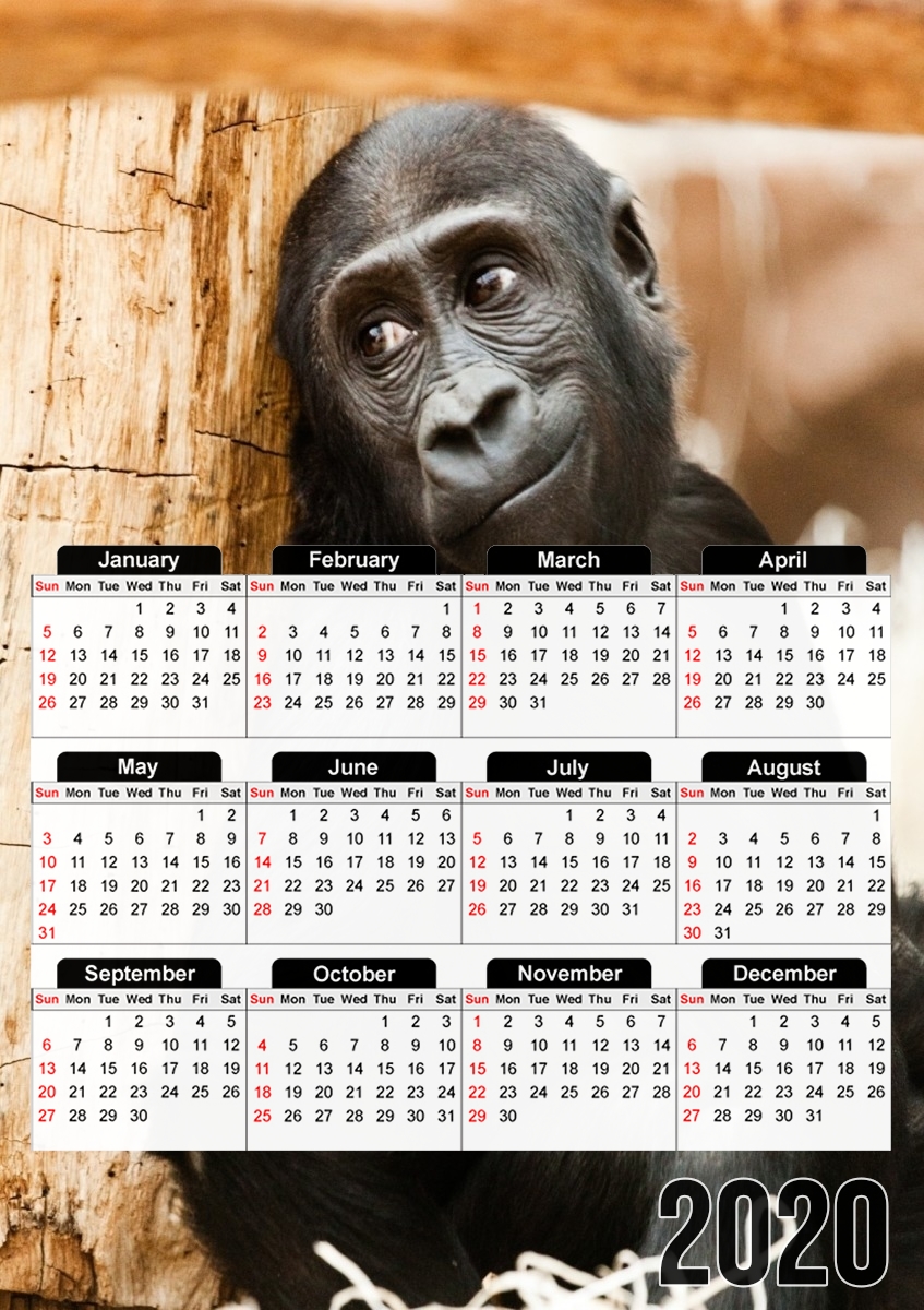  Baby Monkey for A3 Photo Calendar 30x43cm