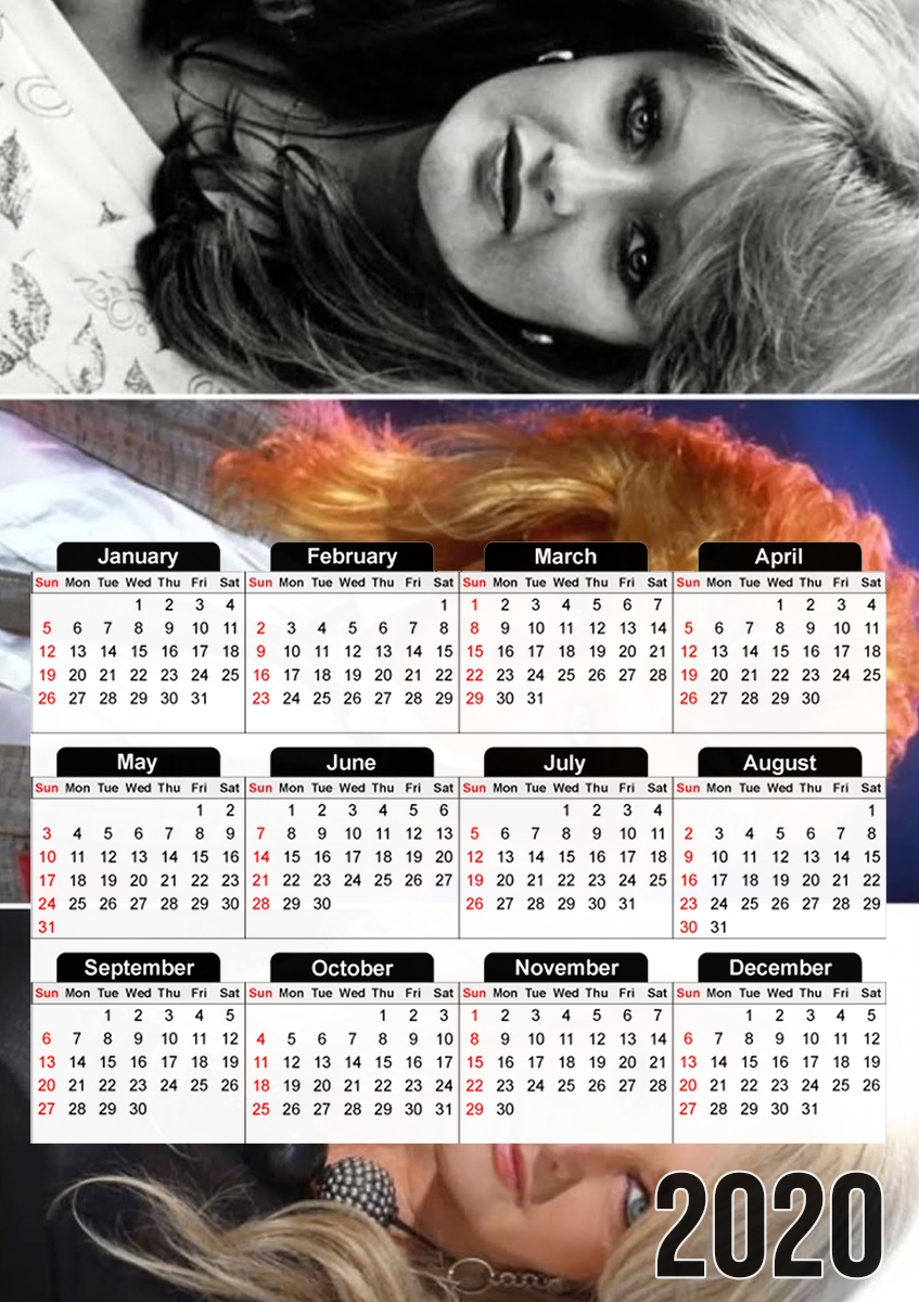  Bonnie Tyler Say Goodbye for A3 Photo Calendar 30x43cm