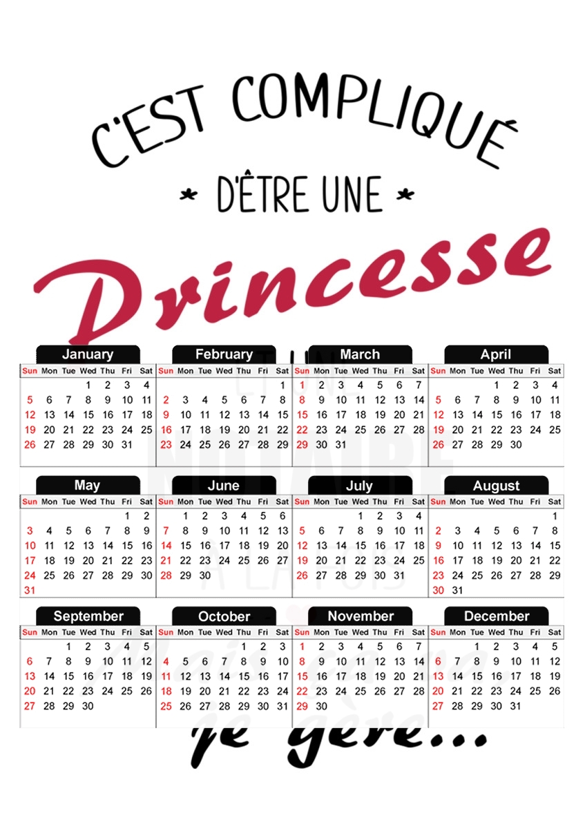  C est complique princesse et notaire a la fois for A3 Photo Calendar 30x43cm