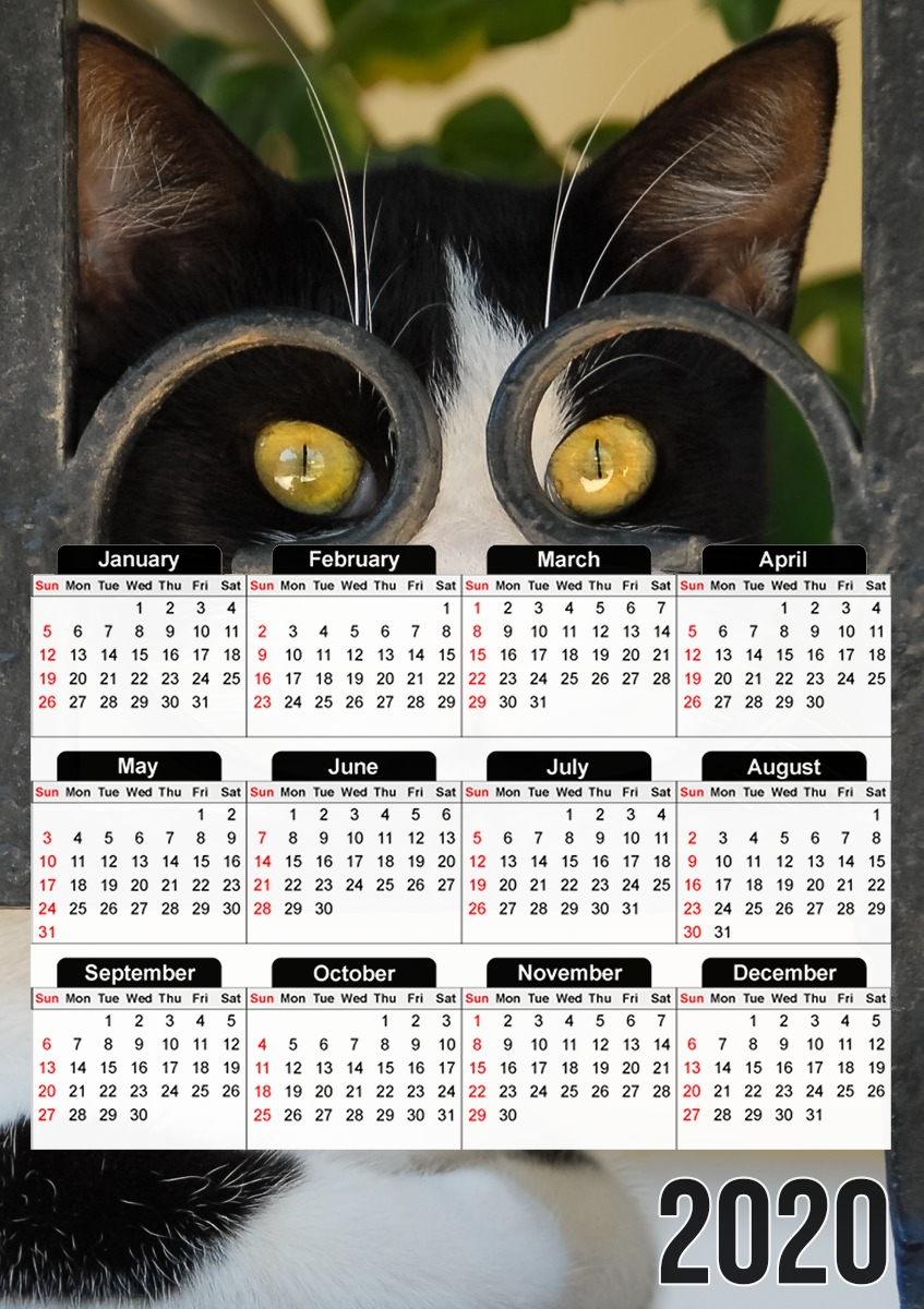  Cat with spectacles frame, she looks through a wrought iron fence for A3 Photo Calendar 30x43cm