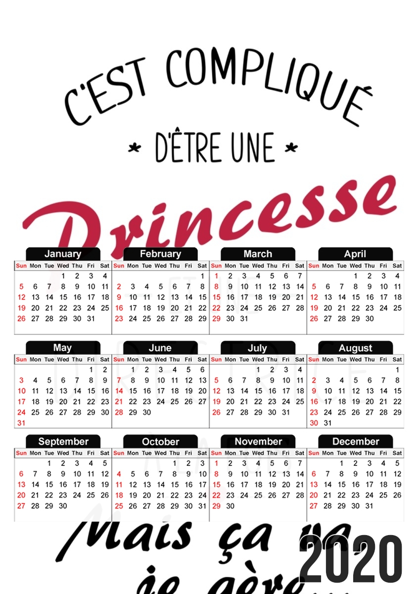  Cest complique detre une princesse et une directrice for A3 Photo Calendar 30x43cm