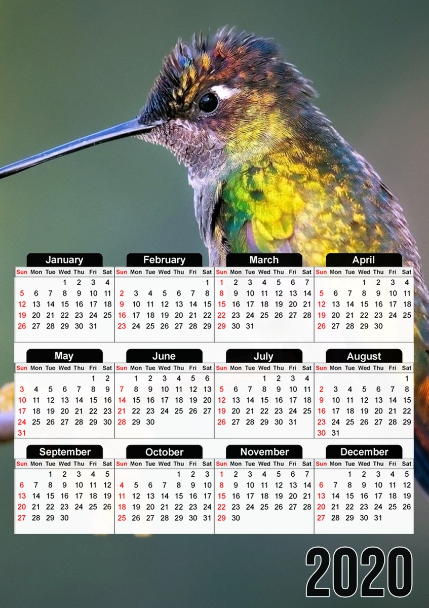  Colobri Birl Colo for A3 Photo Calendar 30x43cm