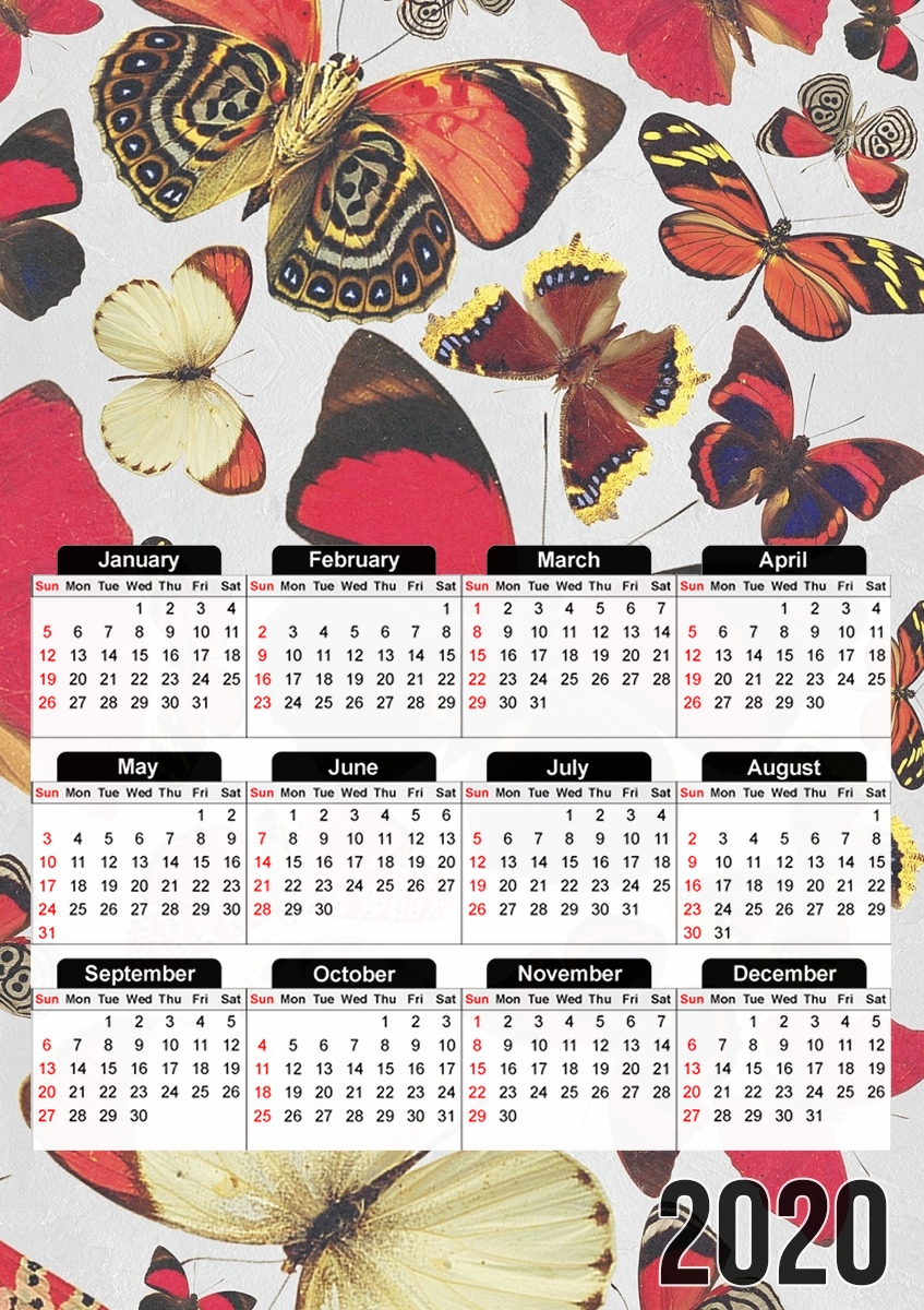  Come with me butterflies for A3 Photo Calendar 30x43cm