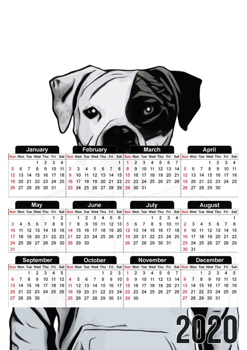 Cool Dog for A3 Photo Calendar 30x43cm