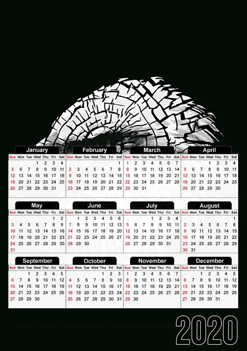  cracked Bald eagle  for A3 Photo Calendar 30x43cm