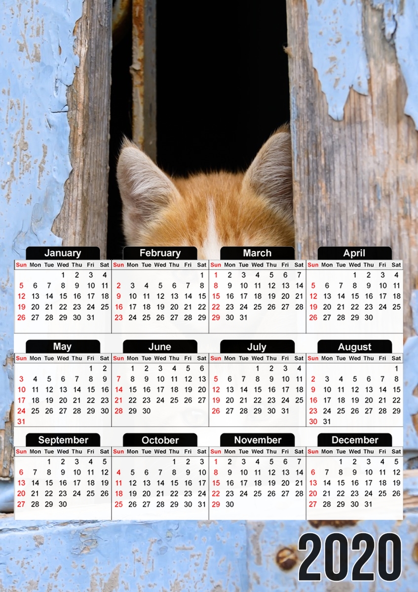  Cute curious kittens in an old window for A3 Photo Calendar 30x43cm