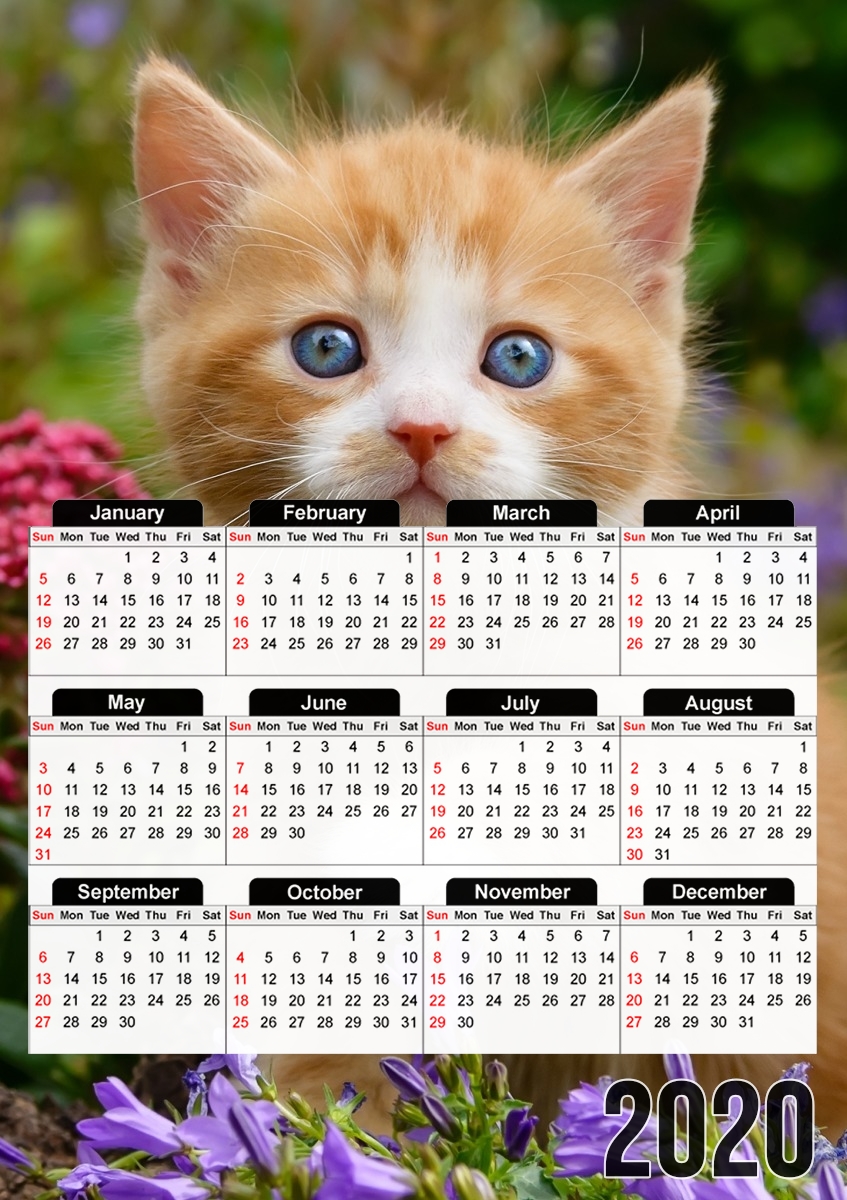  Cute ginger kitten in a flowery garden, lovely and enchanting cat for A3 Photo Calendar 30x43cm