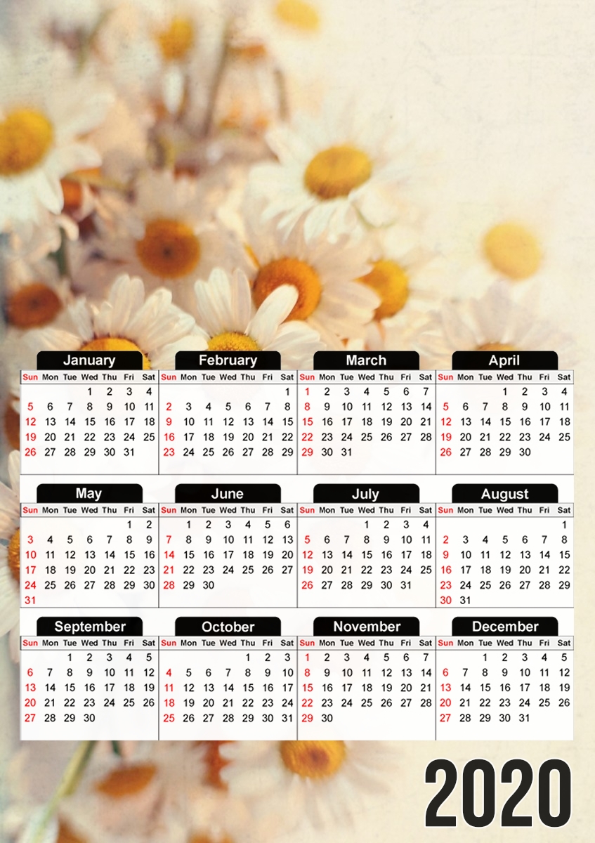  daisies for A3 Photo Calendar 30x43cm