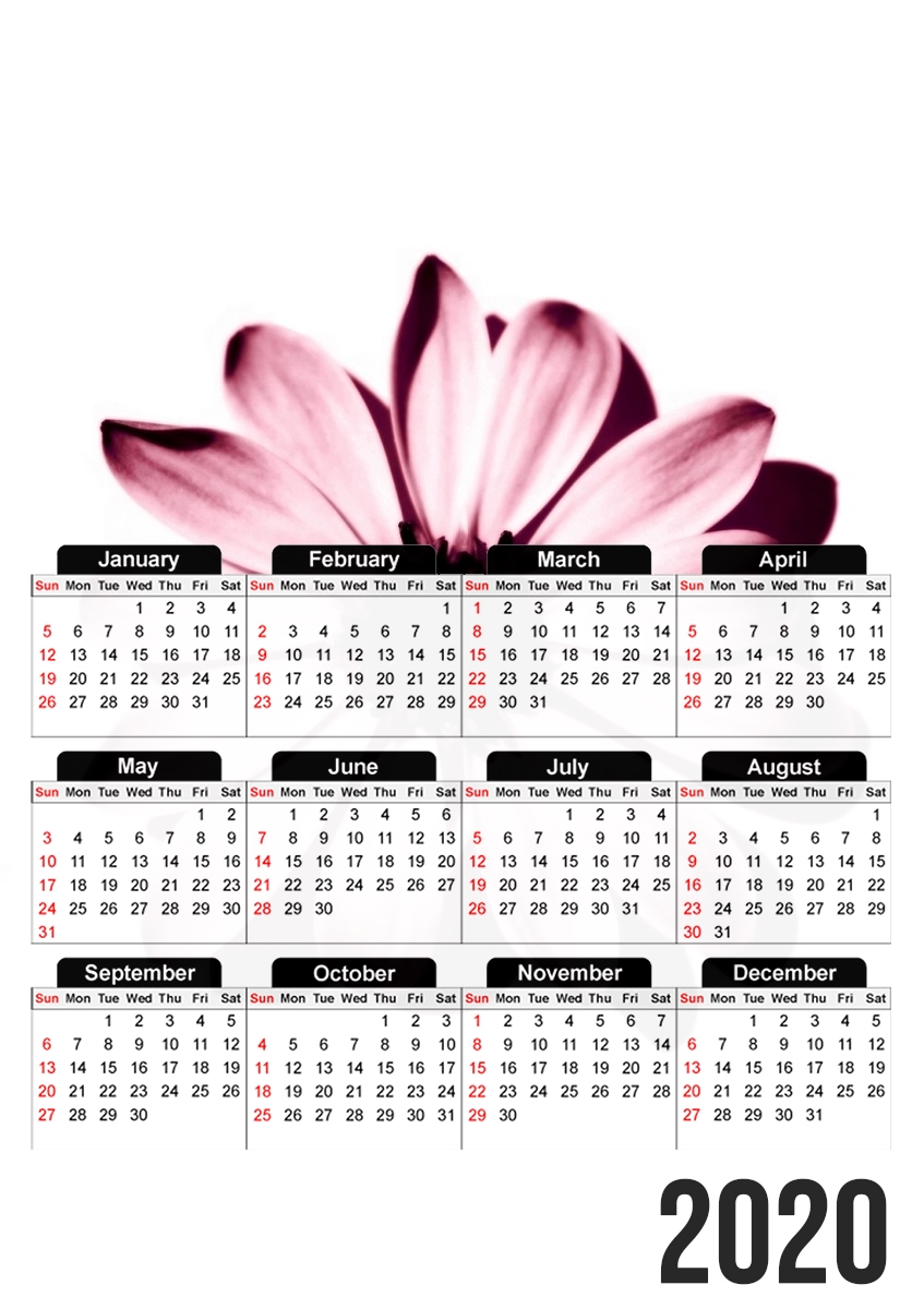  Daisy Burgundy for A3 Photo Calendar 30x43cm