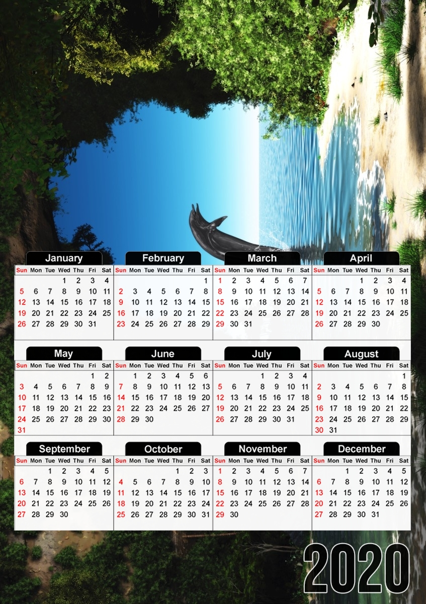  Dolphin in a hidden cave for A3 Photo Calendar 30x43cm