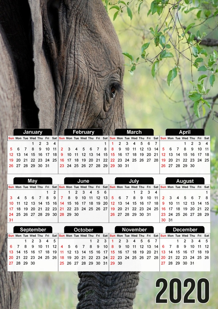  Elephant for A3 Photo Calendar 30x43cm