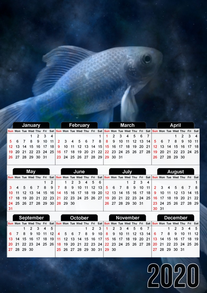  Fish Style for A3 Photo Calendar 30x43cm