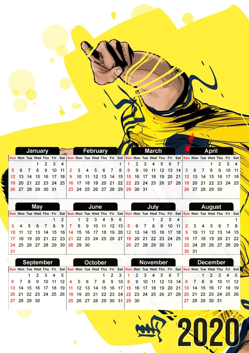  Football Stars: James Rodriguez - Colombia for A3 Photo Calendar 30x43cm