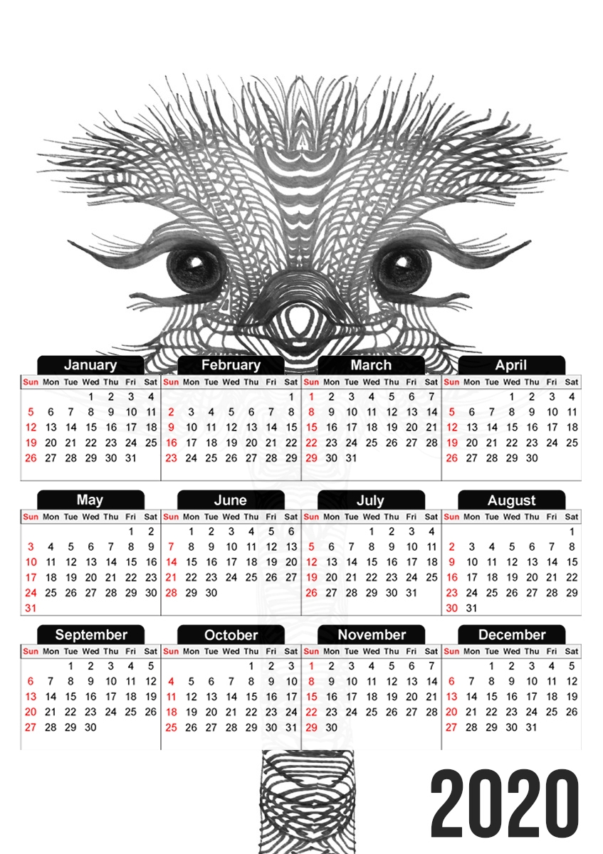  Funny Bird for A3 Photo Calendar 30x43cm