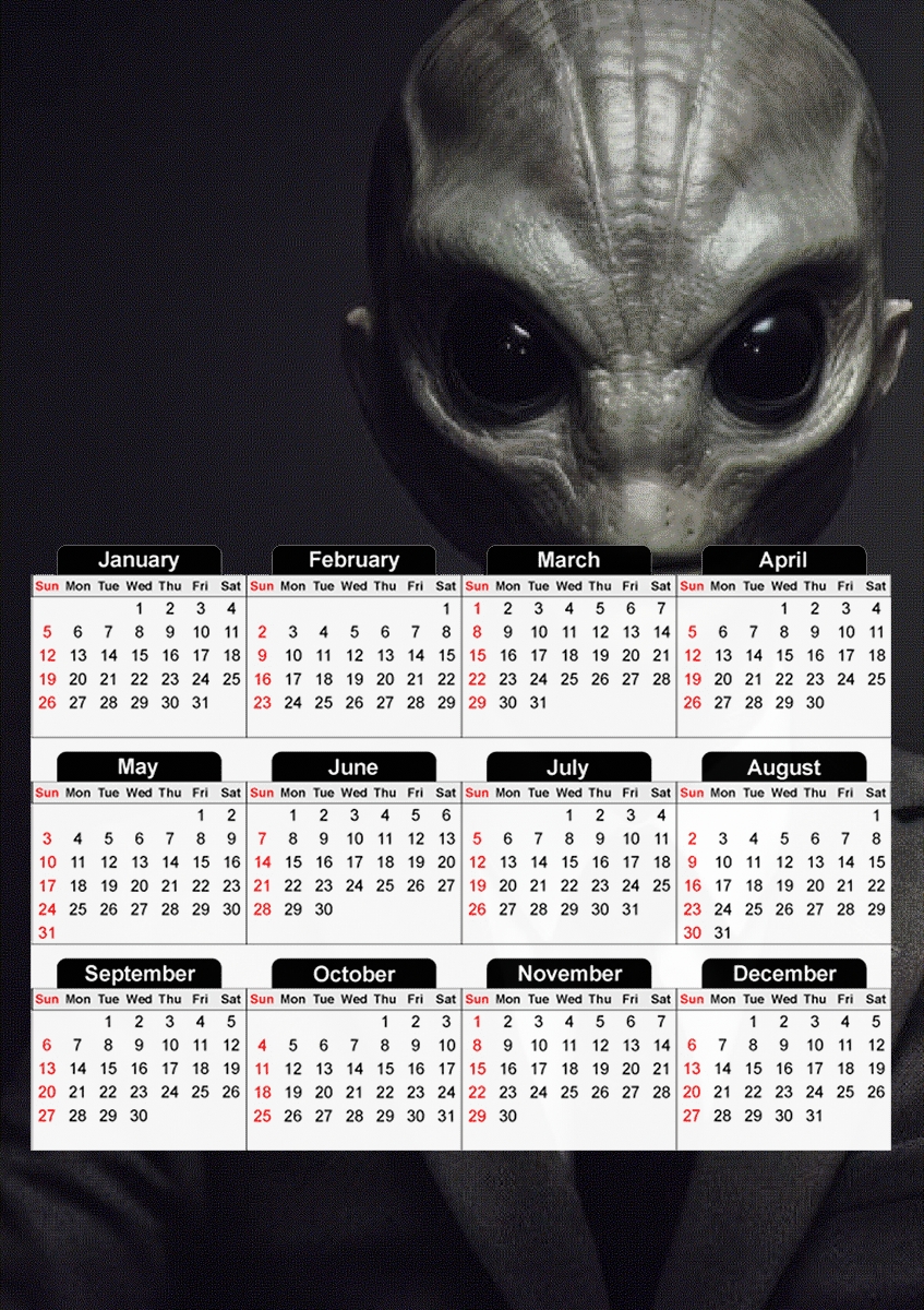  Gray Reptilian for A3 Photo Calendar 30x43cm