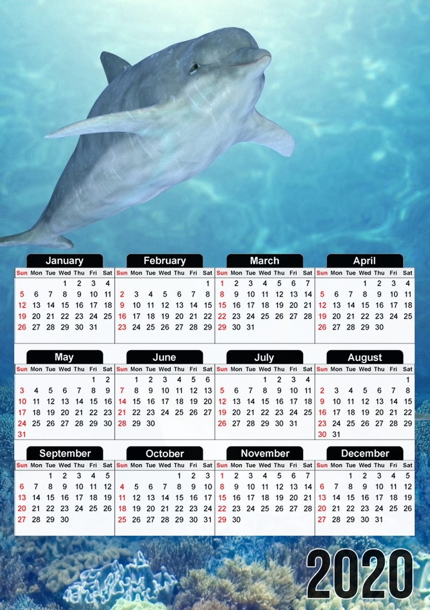  happy dolphins for A3 Photo Calendar 30x43cm