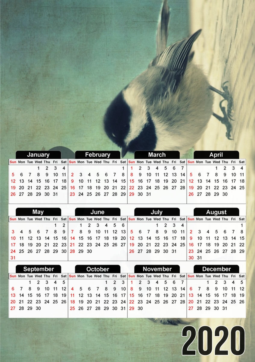  Hello Birds for A3 Photo Calendar 30x43cm