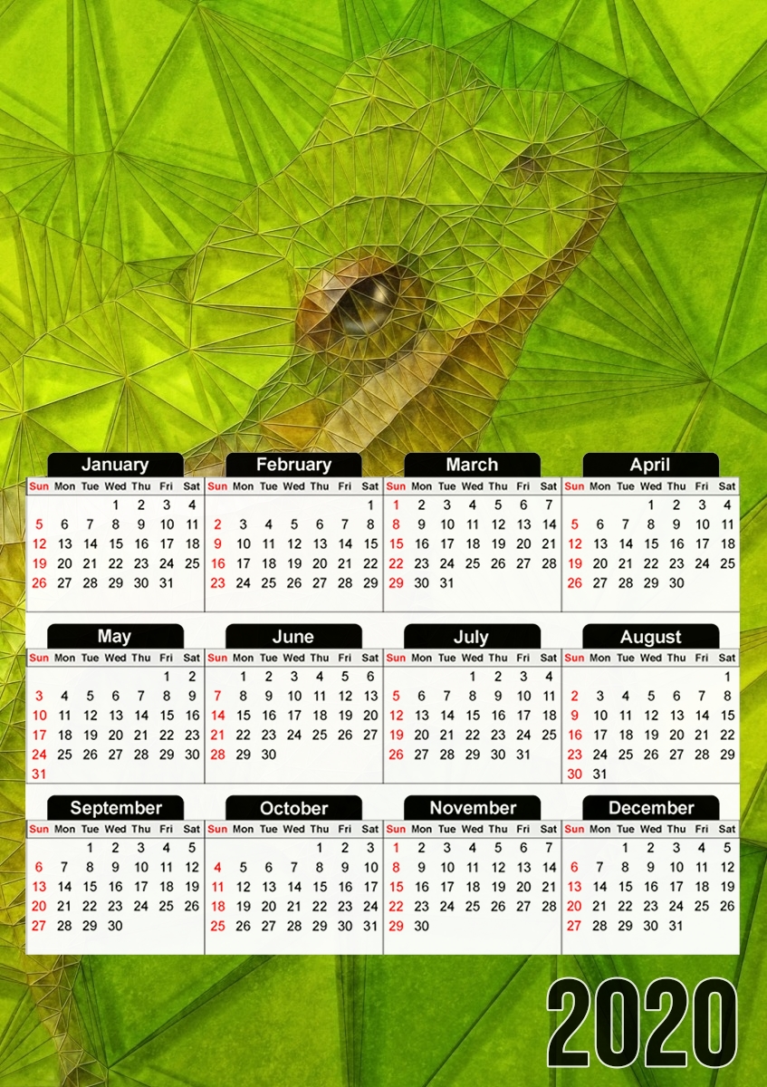  hidden frog for A3 Photo Calendar 30x43cm