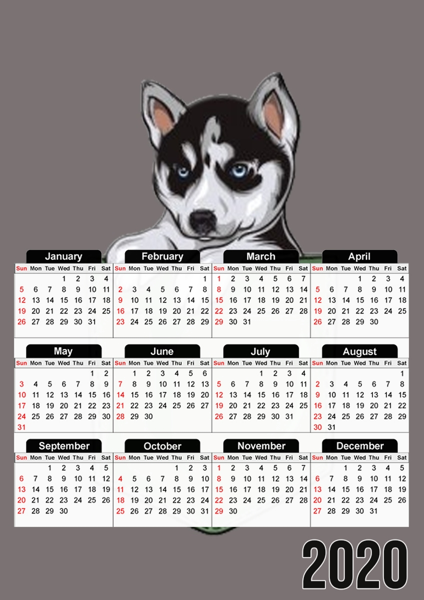  Husky Dog in the pocket for A3 Photo Calendar 30x43cm