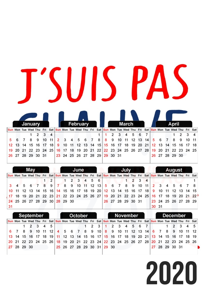  Je ne suis pas chauve Je suis le nouveau ZiZou for A3 Photo Calendar 30x43cm