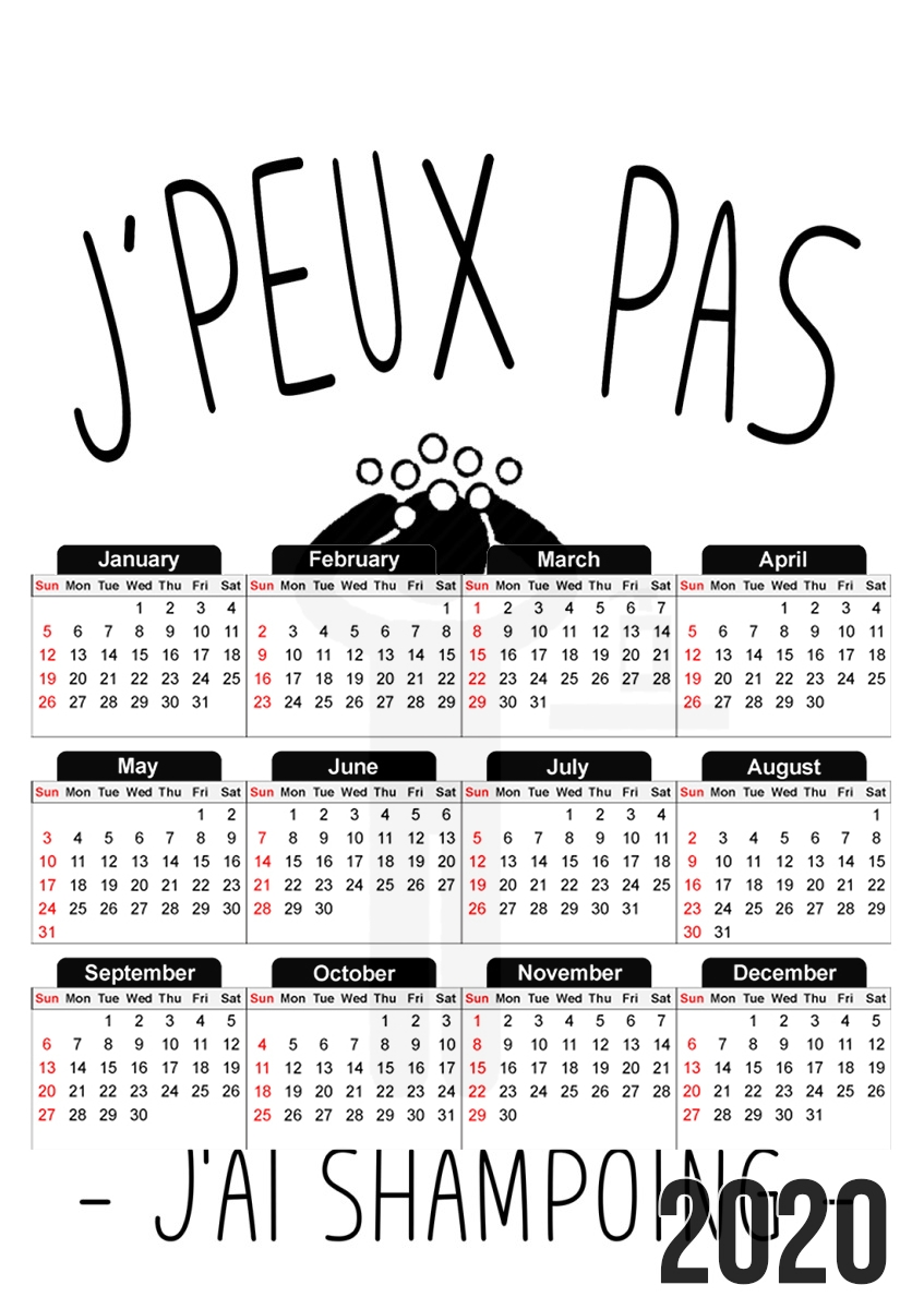  Je peux pas jai shampoing for A3 Photo Calendar 30x43cm