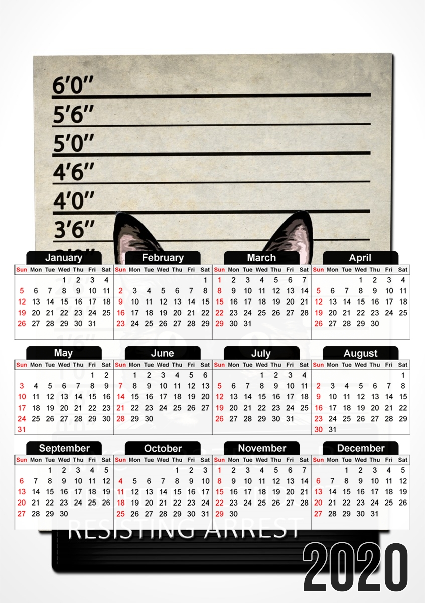  Kitty Mugshot for A3 Photo Calendar 30x43cm