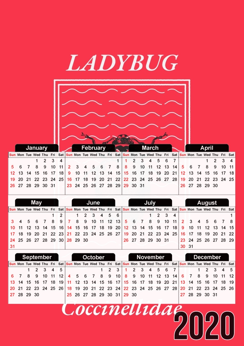  Ladybug Coccinellidae for A3 Photo Calendar 30x43cm