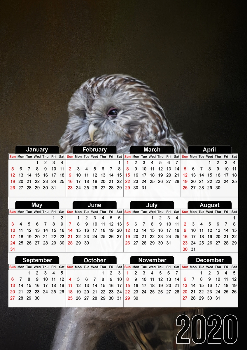  Lovely cute owl for A3 Photo Calendar 30x43cm