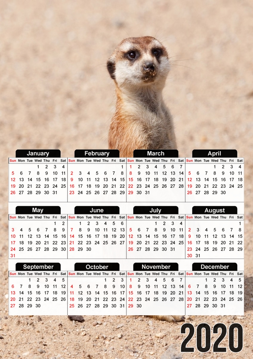  Meerkat for A3 Photo Calendar 30x43cm