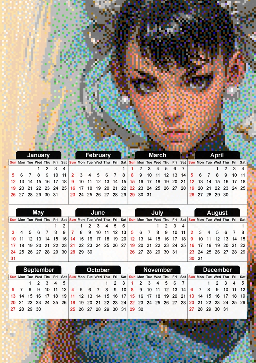  Miss Chun-Li for A3 Photo Calendar 30x43cm