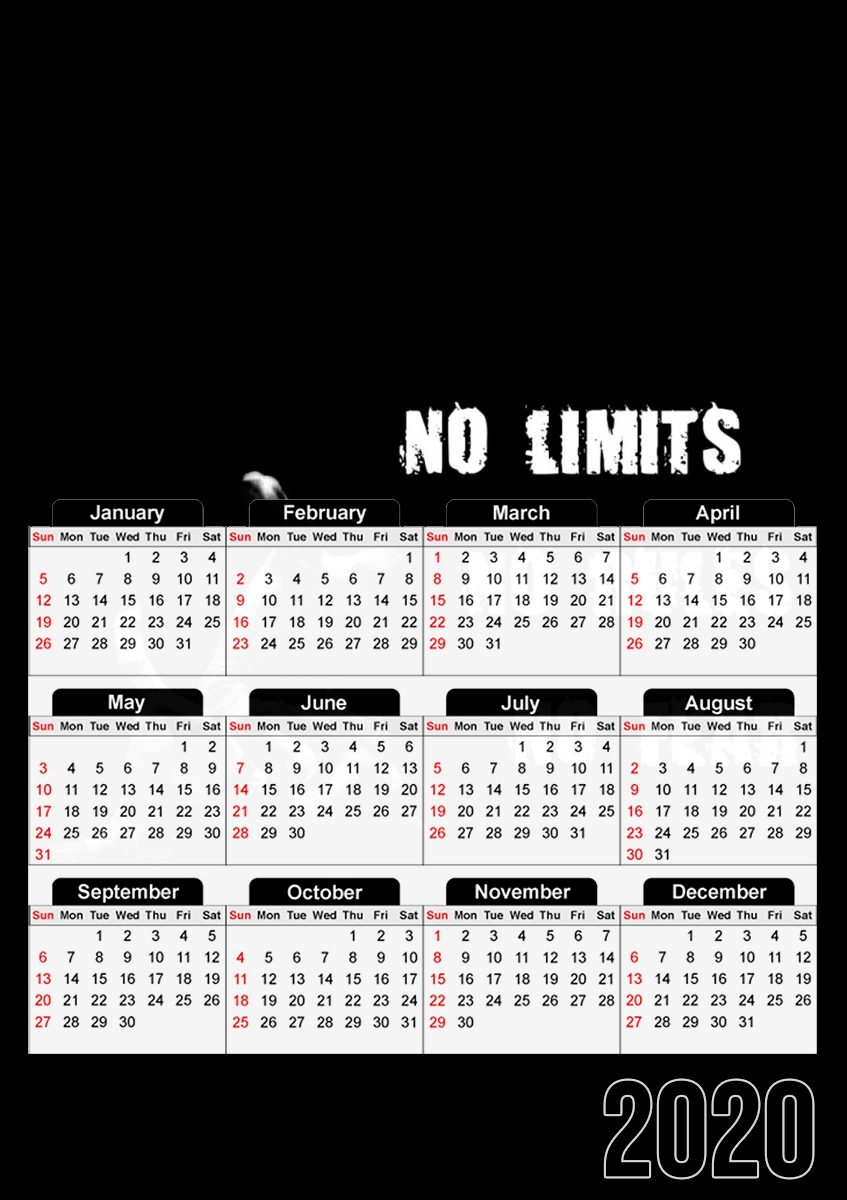  MMA No Limits No Rules No Fear for A3 Photo Calendar 30x43cm