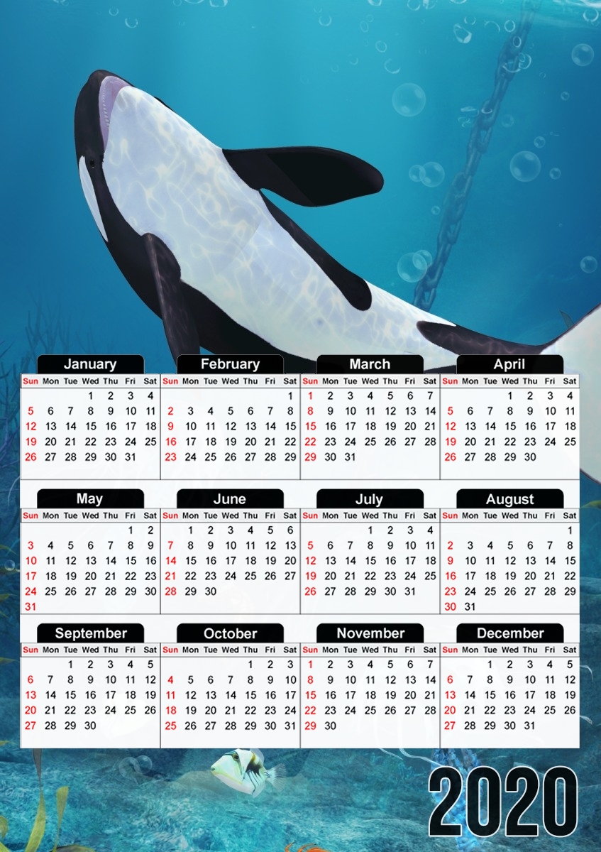  Orca II for A3 Photo Calendar 30x43cm