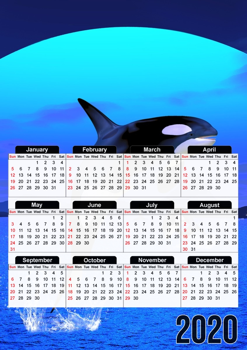  Orca Whale for A3 Photo Calendar 30x43cm