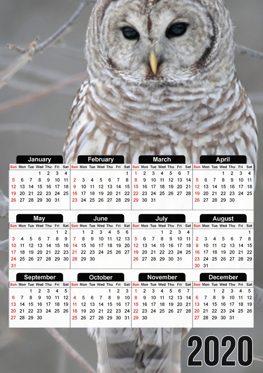  owl bird on a branch for A3 Photo Calendar 30x43cm