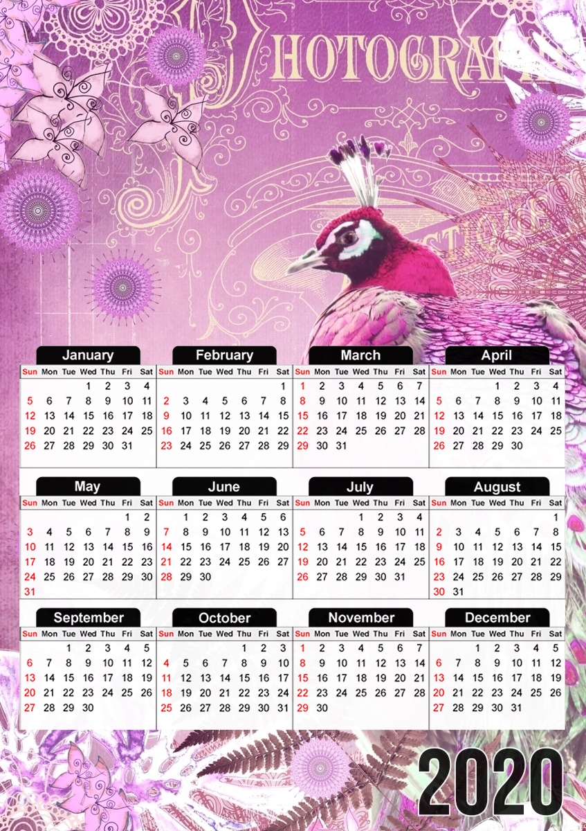  PINK PEACOCK for A3 Photo Calendar 30x43cm