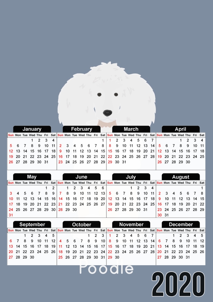  Poodle White for A3 Photo Calendar 30x43cm