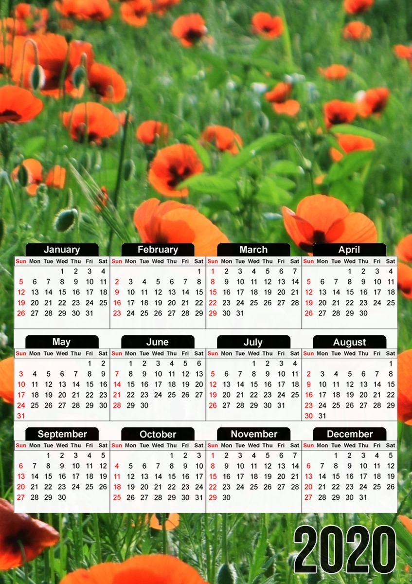  POPPY FIELD for A3 Photo Calendar 30x43cm