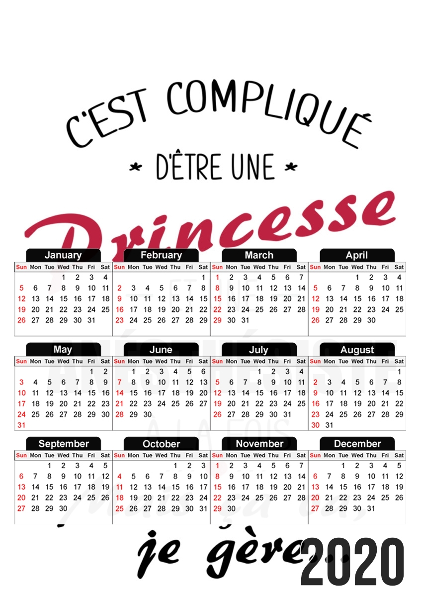  Princesse et anesthesiste for A3 Photo Calendar 30x43cm