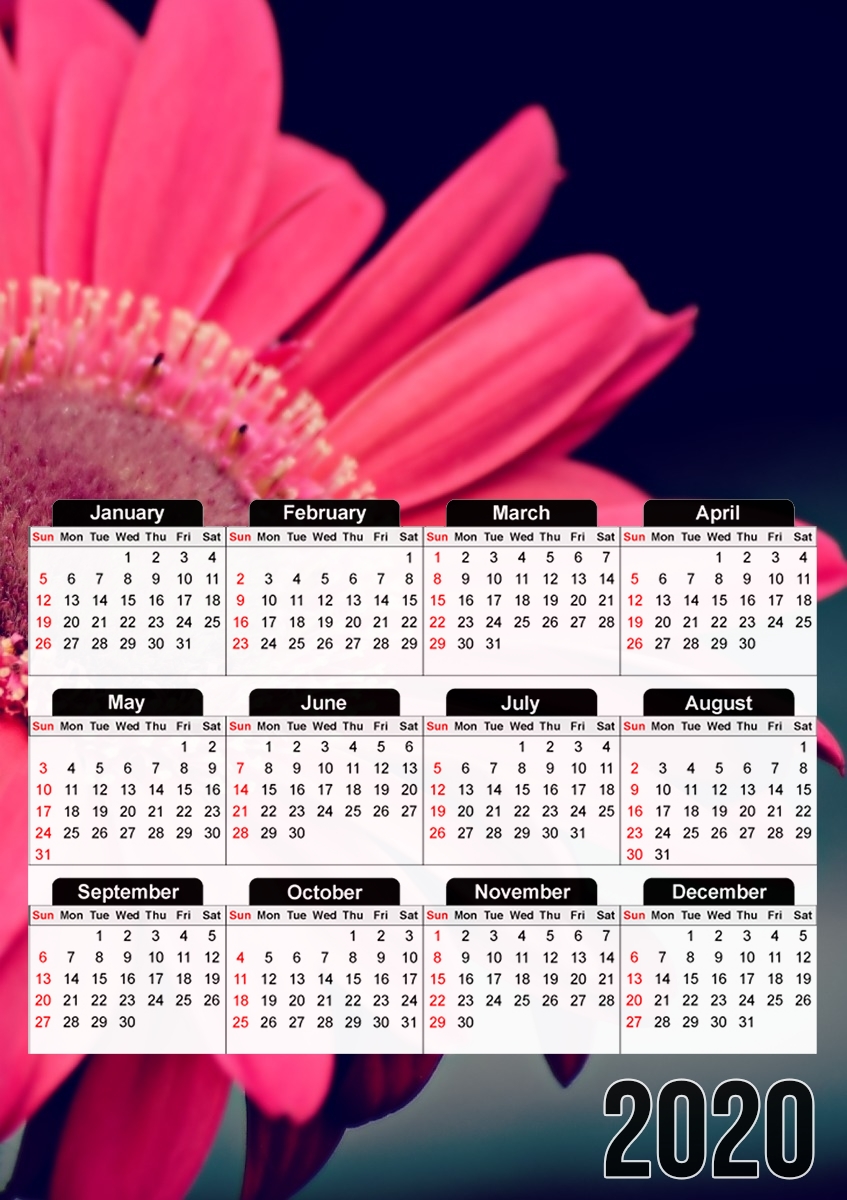  Pure Beauty for A3 Photo Calendar 30x43cm