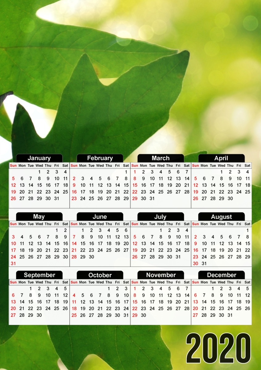  Resist for A3 Photo Calendar 30x43cm