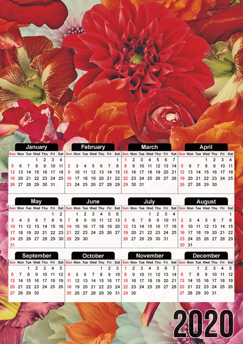  Rosses for A3 Photo Calendar 30x43cm