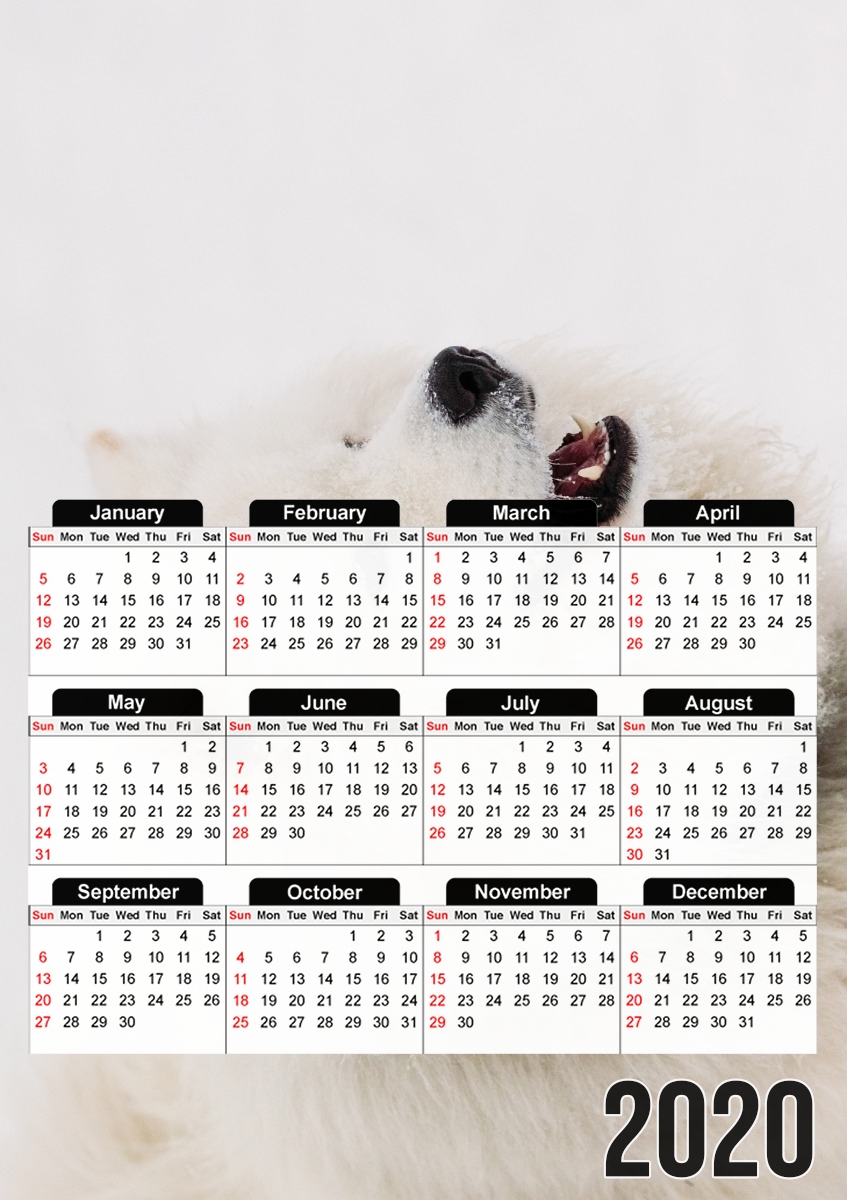  samoyede dog for A3 Photo Calendar 30x43cm